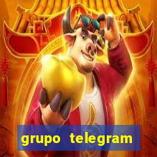 grupo telegram corrida de cavalos bet365